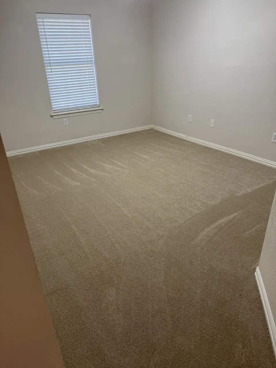 Empty room with freshly vacuumed carpet after a move-out cleaning